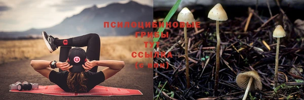COCAINE Баксан