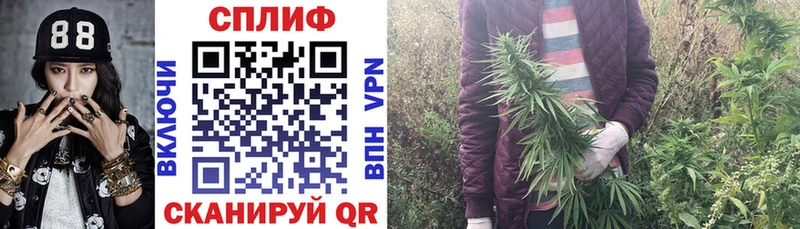 Марихуана ГИДРОПОН  Новоржев 